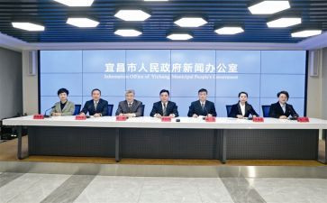 镇人代表述职报告8篇