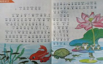 蒙氏教师个人教学工作计划最新5篇