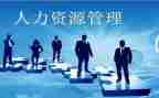人力资源年度的工作计划5篇
