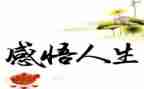 年终个人生产工作总结8篇