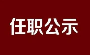 教师编任职以来的工作总结8篇