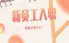 入职个人总结工作总结5篇