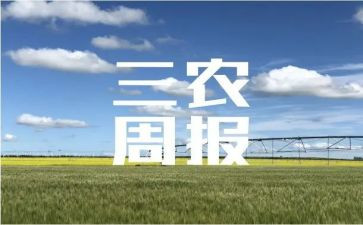 村三农工作汇报总结5篇