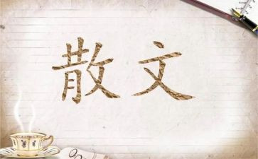 张晓风散文精选读后感8篇