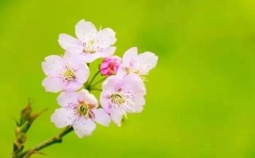 幼儿园三月份的月计划8篇