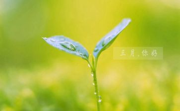 幼儿园三月份教师工作计划5篇