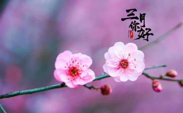 三月段工作总结模板8篇