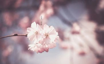 三月份幼儿园月工作计划6篇