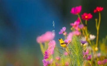 1到三月思想汇报8篇