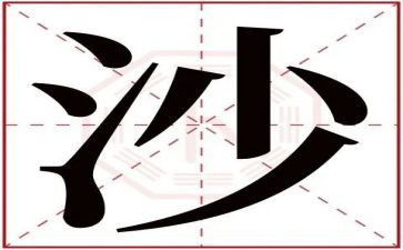 沙漠之花读后感5篇