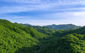 护林员巡山年度总结8篇