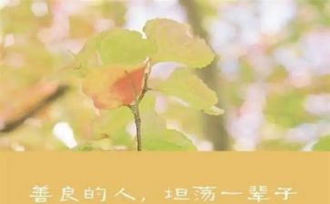 勿以善小而不为作文6篇