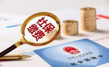 社保工作个人工作总结6篇