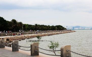 2024深圳作文推荐7篇