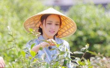 生活用品合同5篇