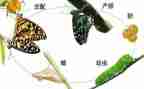 2023病媒生物防制工作计划6篇