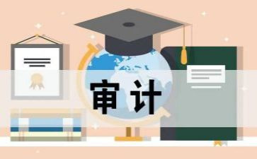 2024审计年终总结5篇