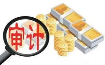 被审计工作总结最新7篇
