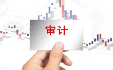 实习审计自我鉴定5篇