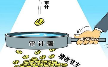 2023审计工作总结模板5篇
