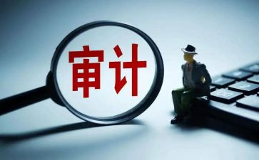 被审计工作总结6篇