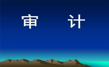 2023审计工作总结通用5篇