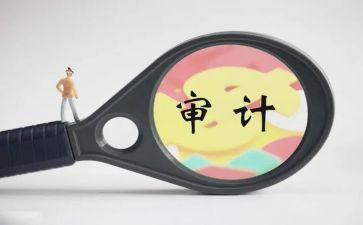 内部审计工作总结范文6篇