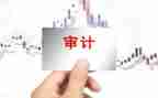 实习审计自我鉴定5篇