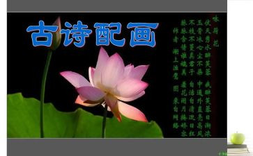 语言《毕业诗》教案6篇