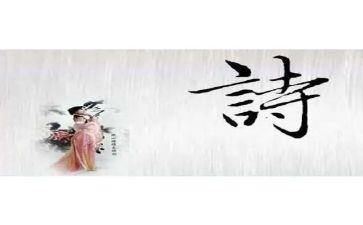 读诗歌心得体会6篇