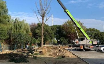 施工培训总结总结6篇