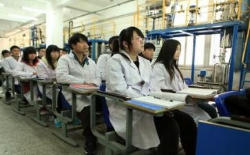 学生实训心得体会范文5篇