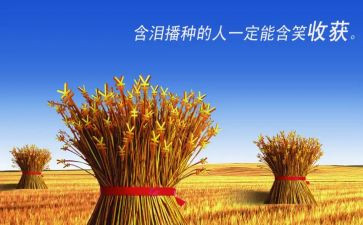 培训的收获总结报告6篇
