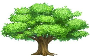 郭橐驼种树教案6篇