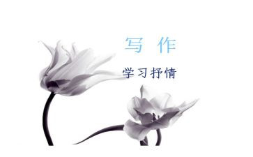 抒情的作文800字7篇