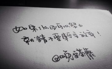抒情的作文800字优质6篇