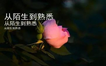 写一个熟悉的人600字作文5篇