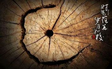 山居岁月的读后感精选5篇