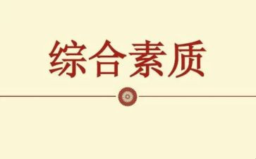 职业素质个人总结6篇