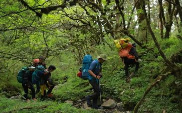 探险之旅优秀作文优秀8篇