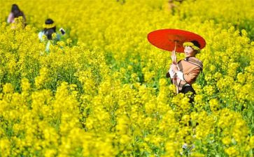 清明节踏青作文优质8篇