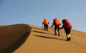 母爱伴我同行作文8篇