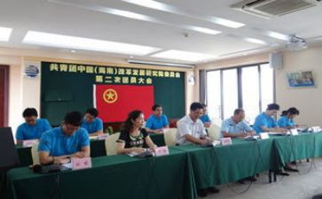 团委半年度总结6篇