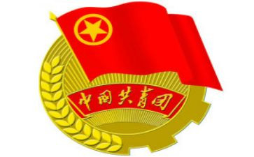 2024年-2024年大学团委工作计划精选5篇