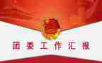 2023年分团委工作计划最新8篇