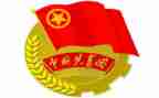 2024年-2024年大学团委工作计划精选5篇