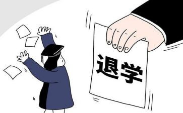 退学申请书的模板6篇