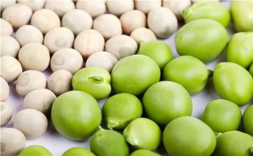 豌豆上的公主,读后感7篇