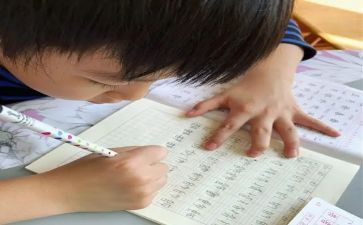 大班《我的名字》教案6篇