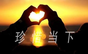 中班社会爱惜粮食教案5篇